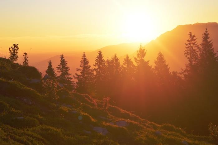 obrázok tapety pri východe slnka, prirodzená fotografia s horami a lesom ihličnatých stromov osvetlená slnečnými lúčmi